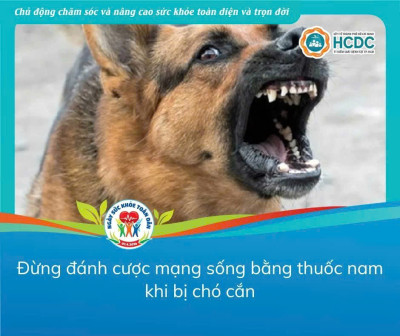 Đừng đánh cược mạng sống bằng thuốc nam khi bị chó cắn
